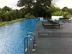 Beacon Heights (D12), Condominium #211684861